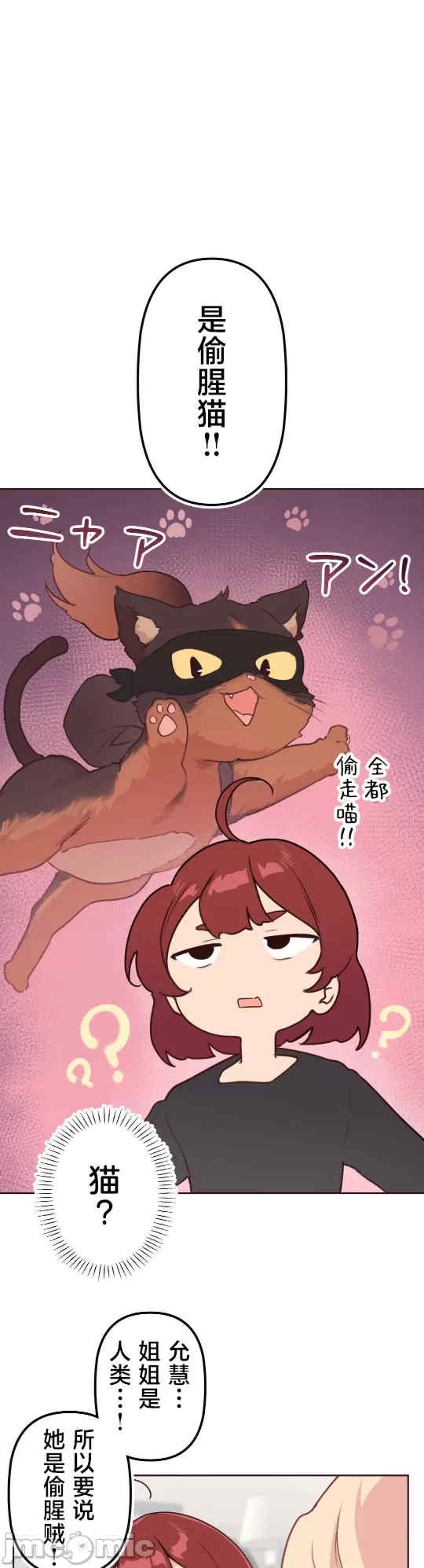 第19张