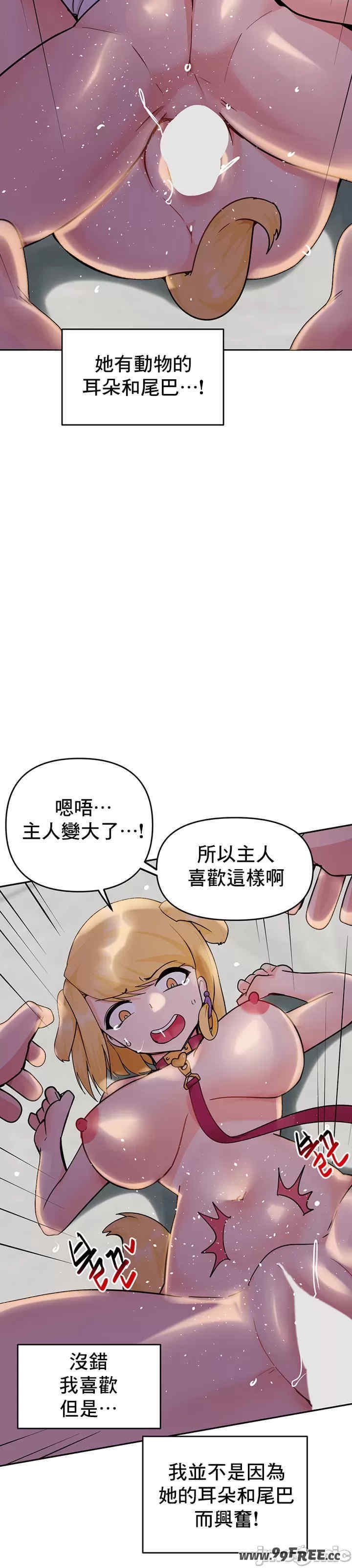 第54张