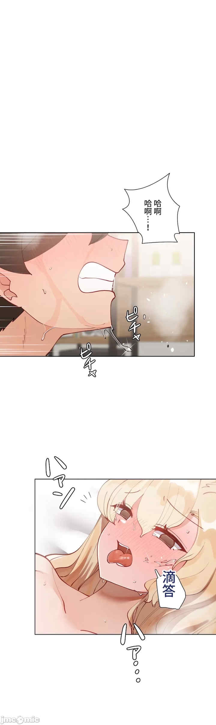第23张