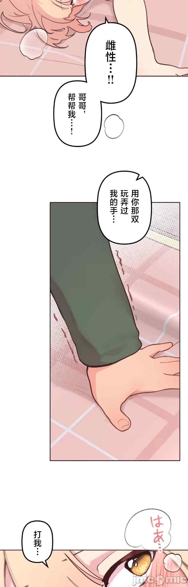 第23张