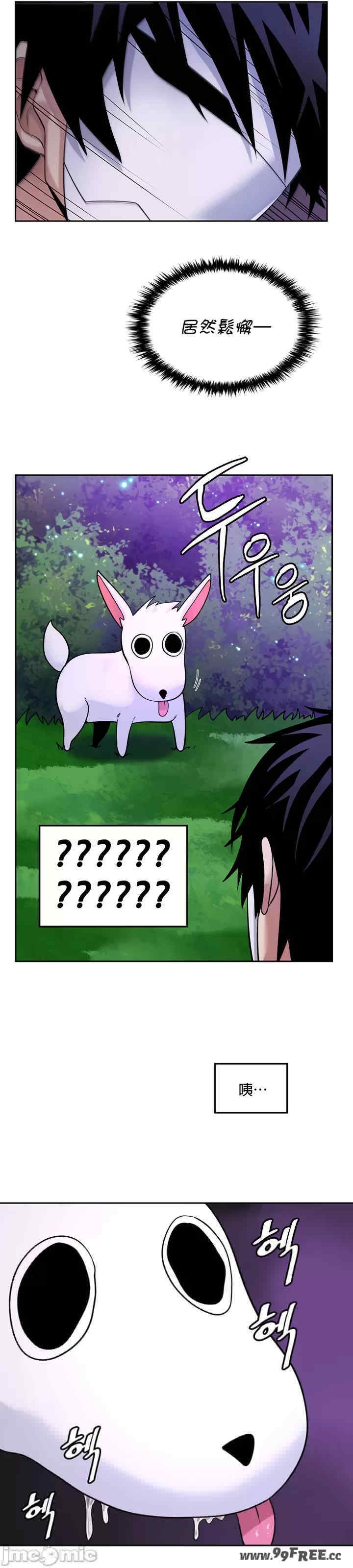 第16张