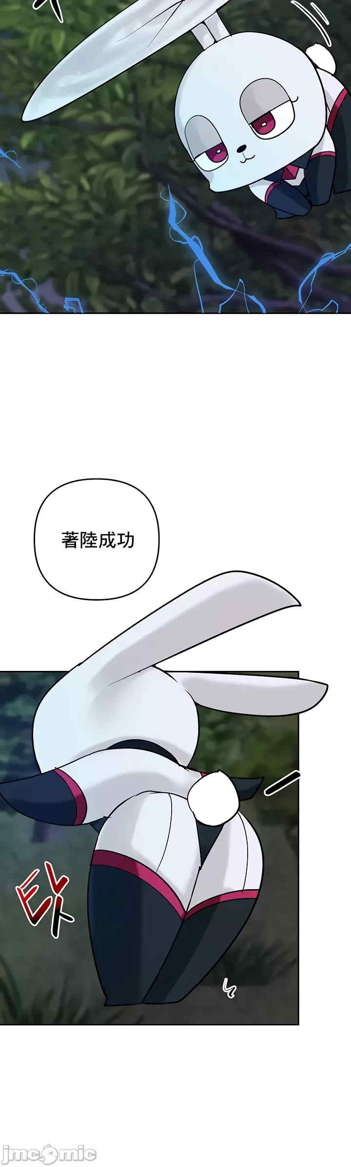第49张