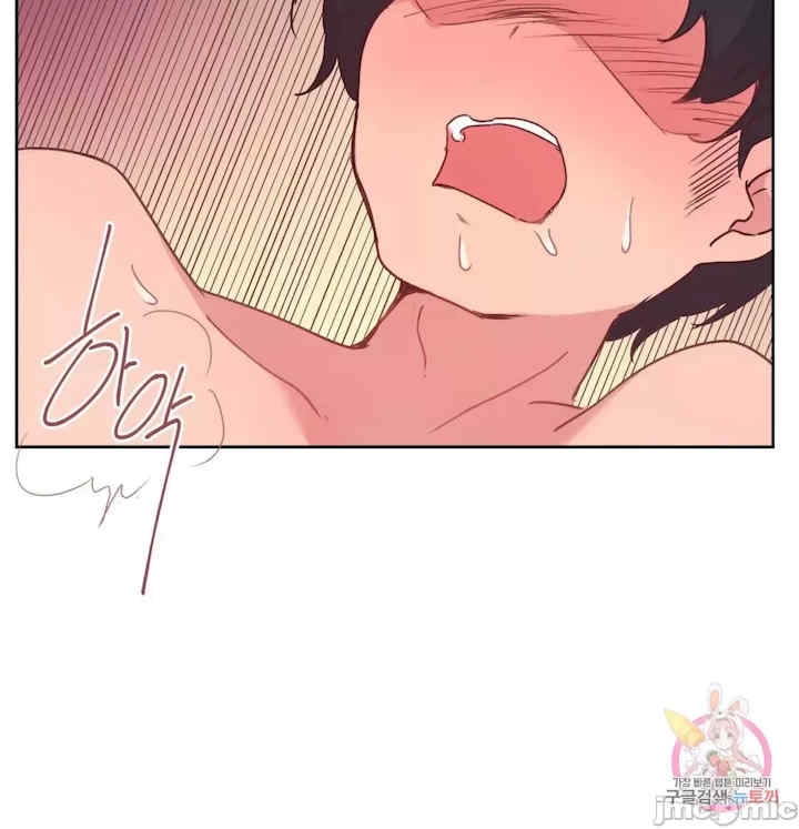 第66张