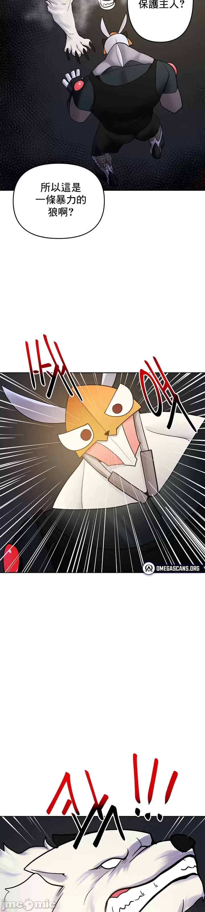 第3张
