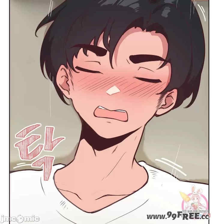 第54张