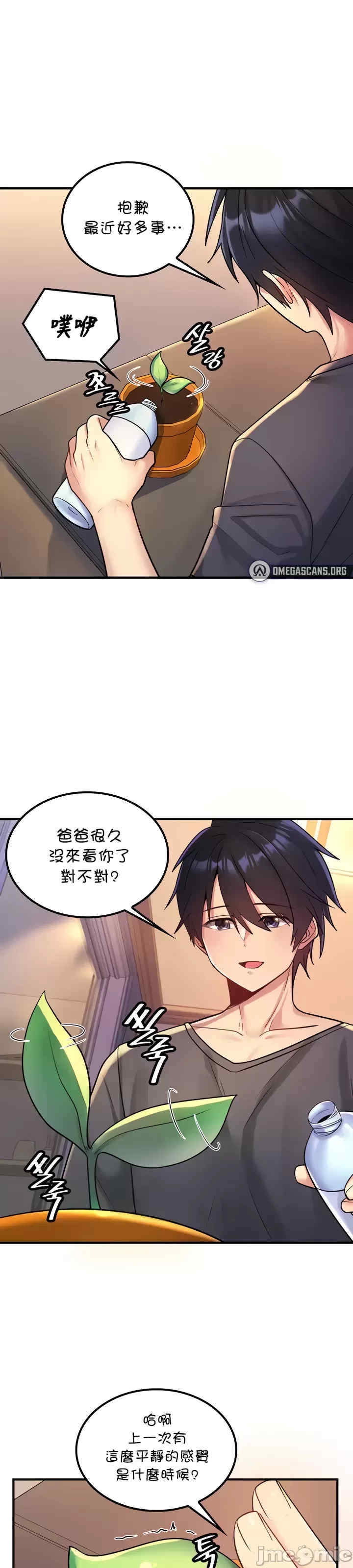 第4张