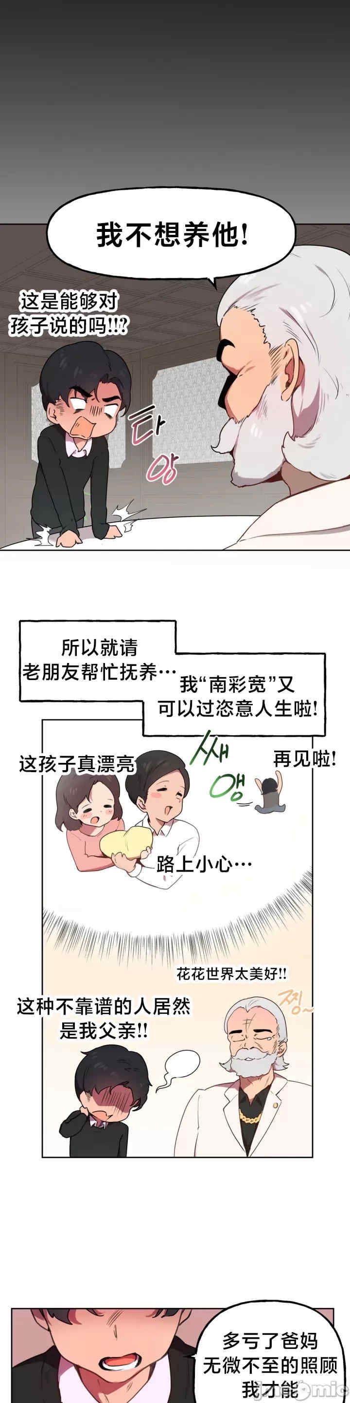 第21张