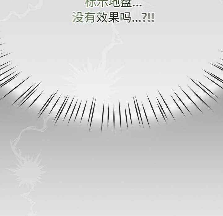 第129张