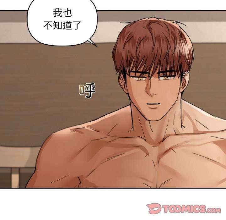第42张