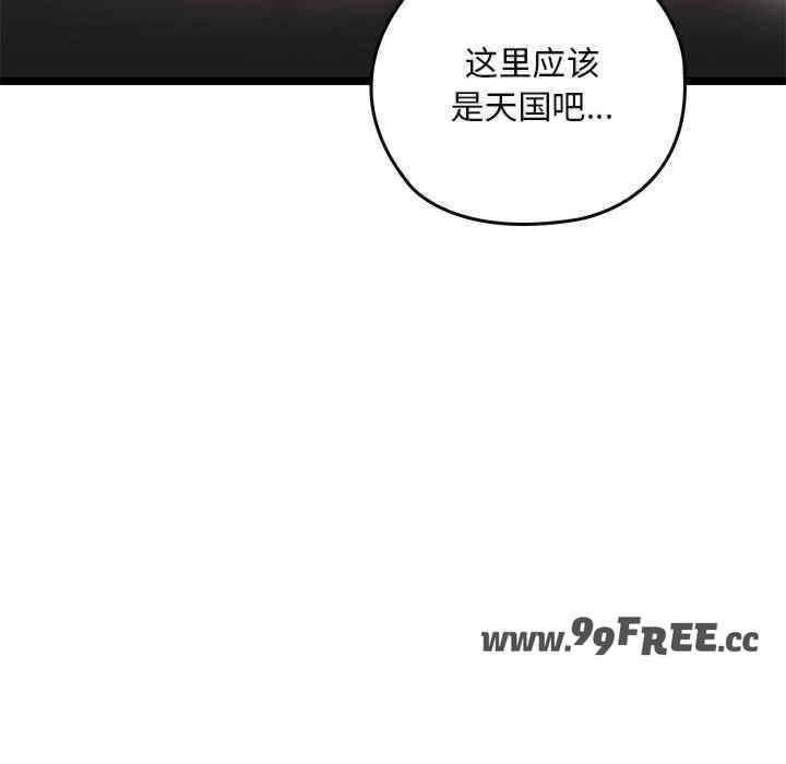 第43张