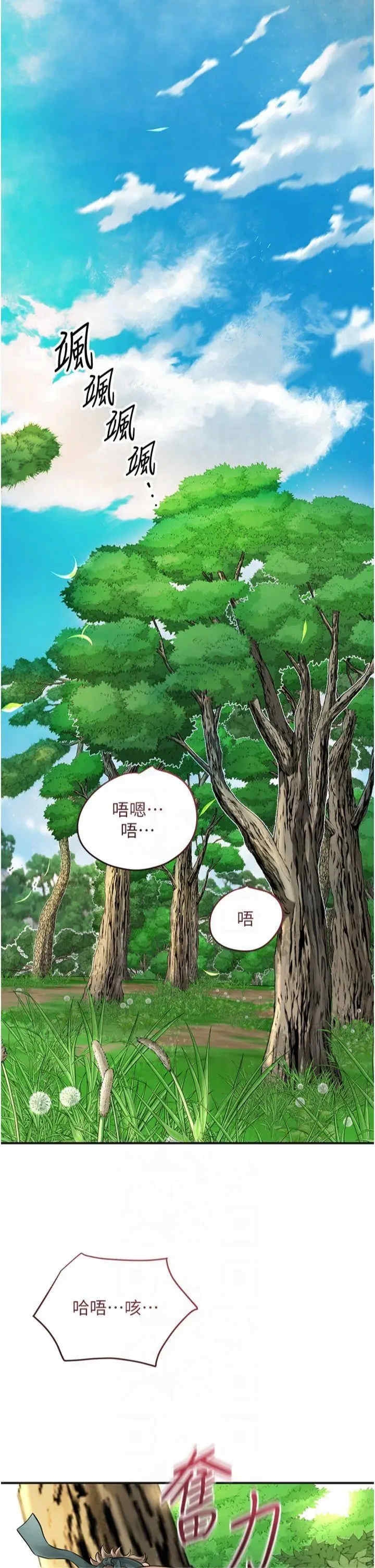 第31张