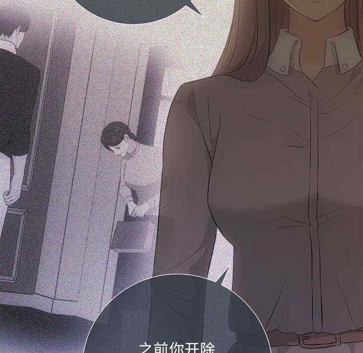 第41张