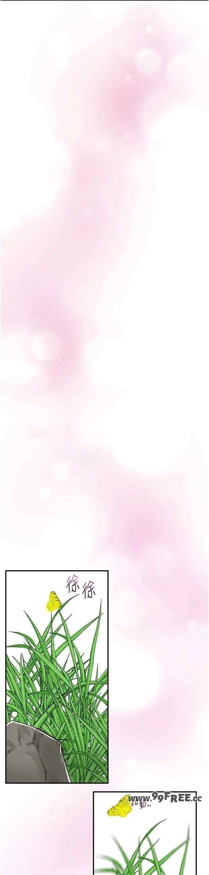 第32张