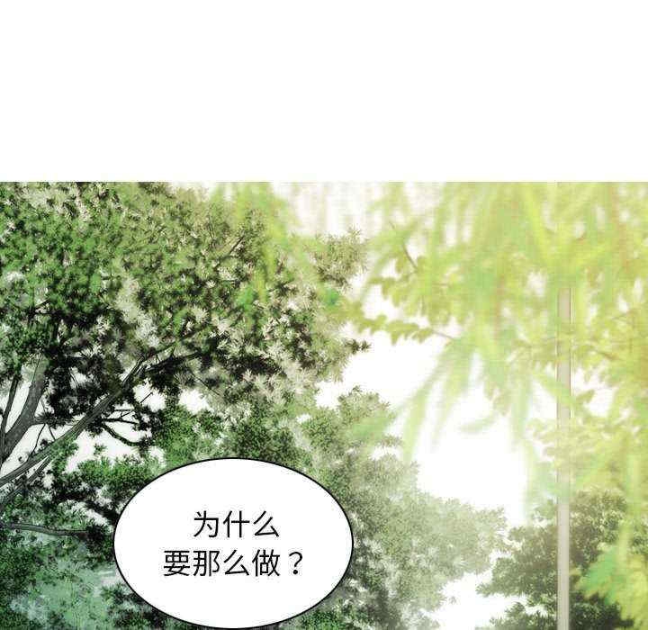 第17张