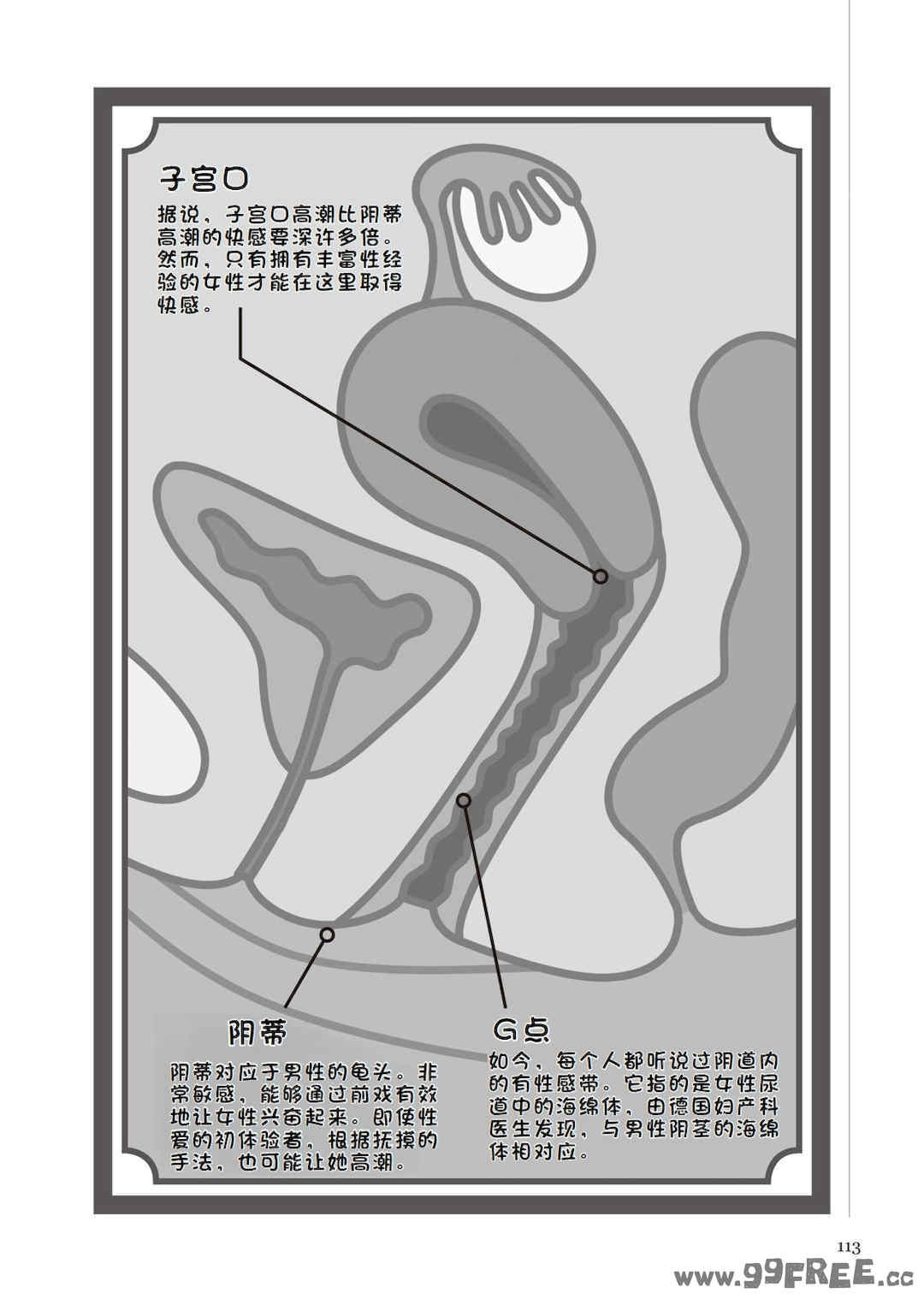 第12张