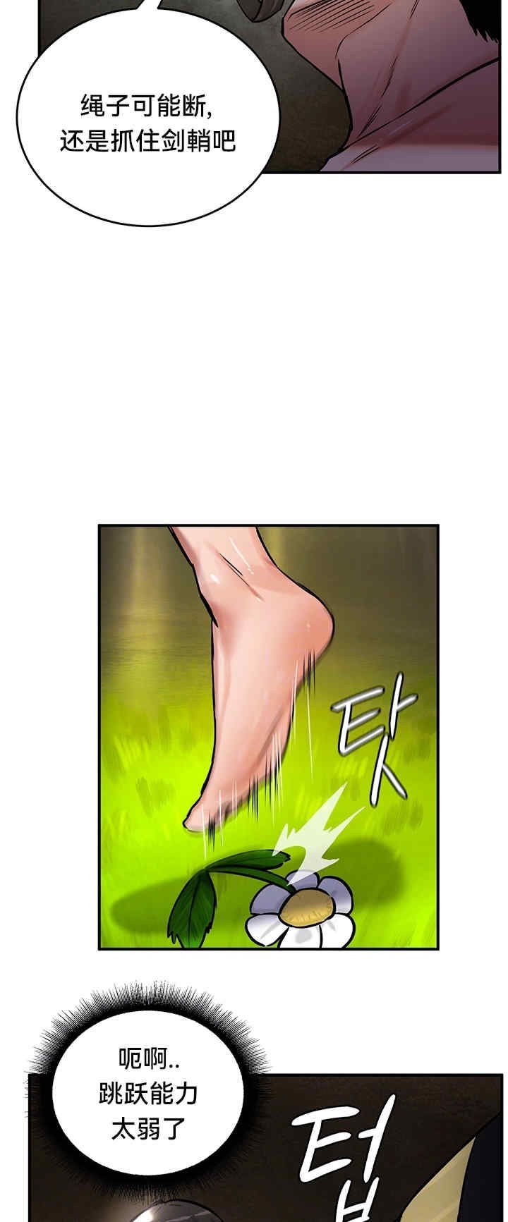 12.jpg