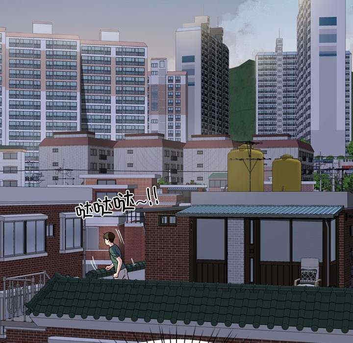 第5张