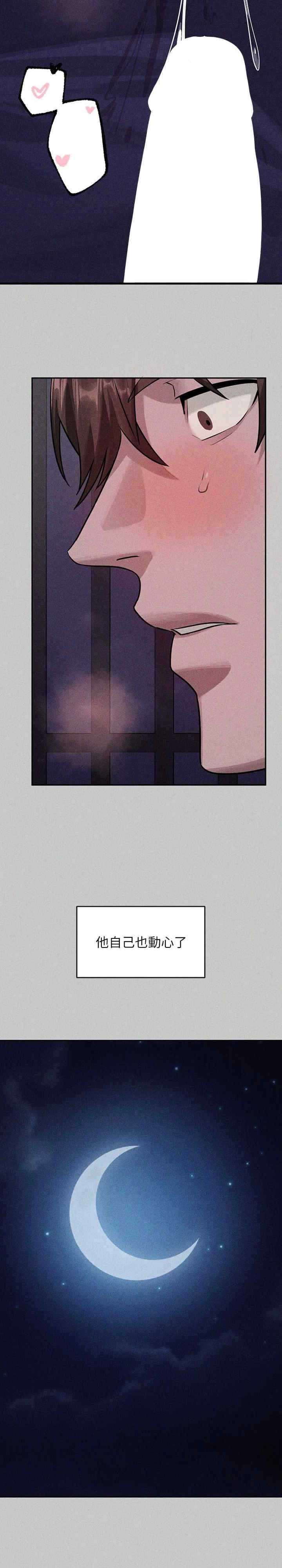 第13张