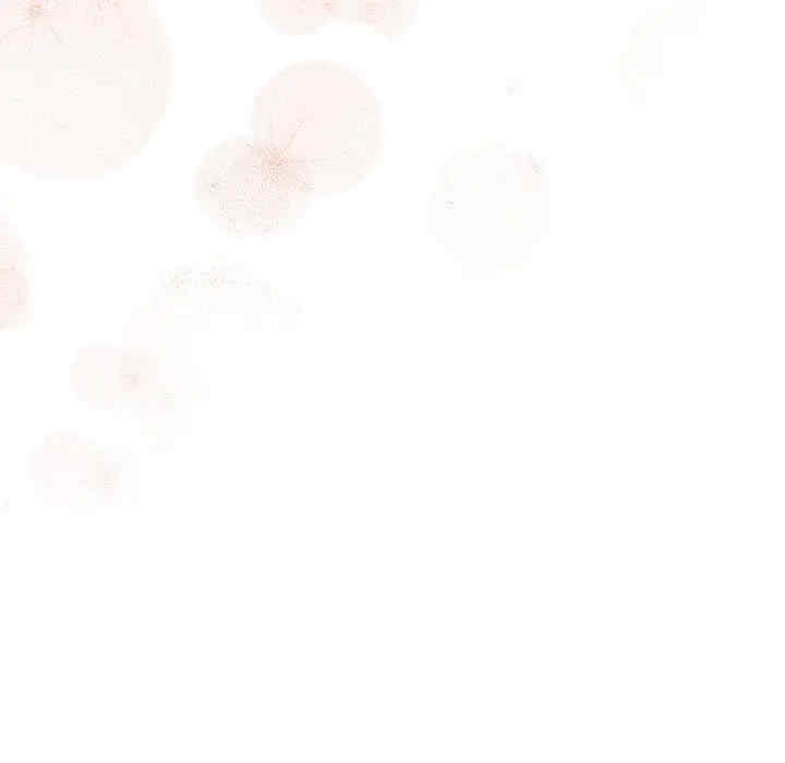 第86张