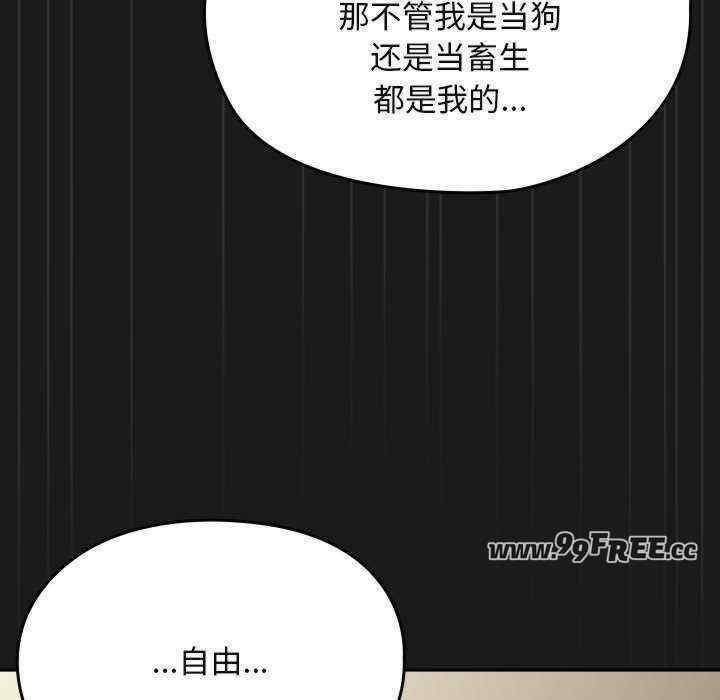 第61张