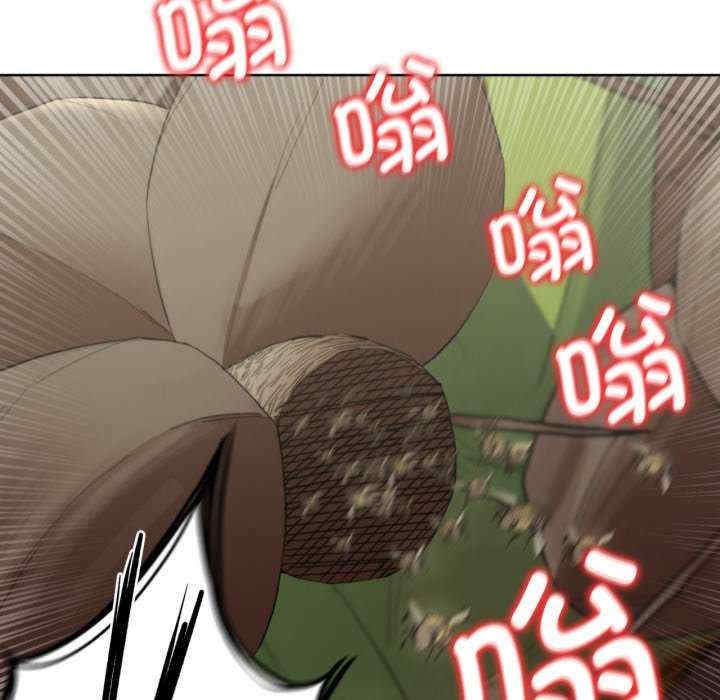 第176张