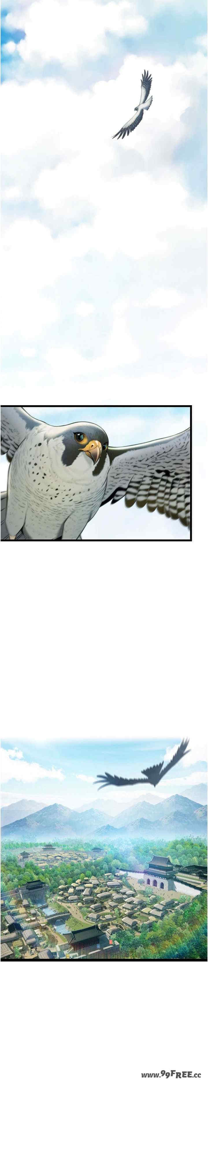 第29张
