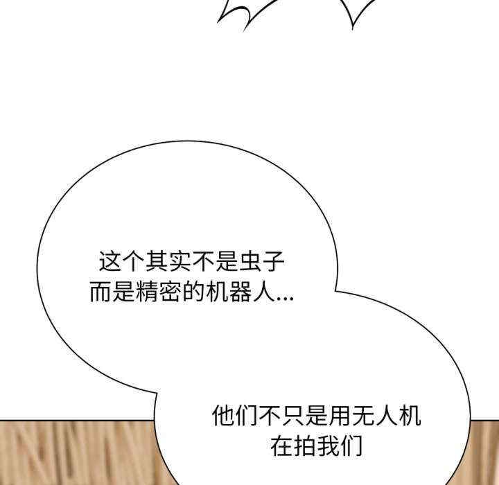 第13张