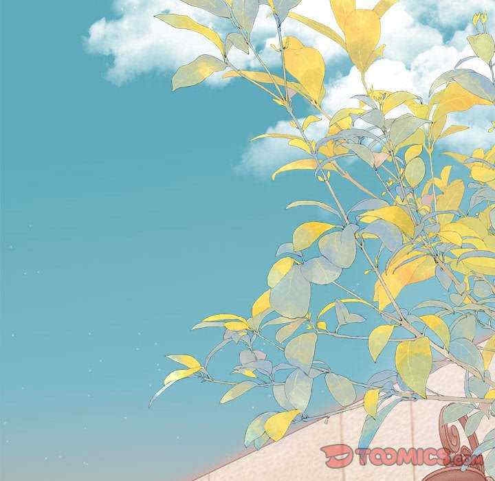 第30张
