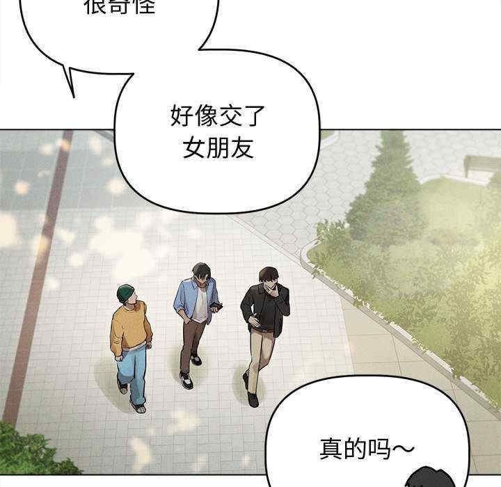 第33张