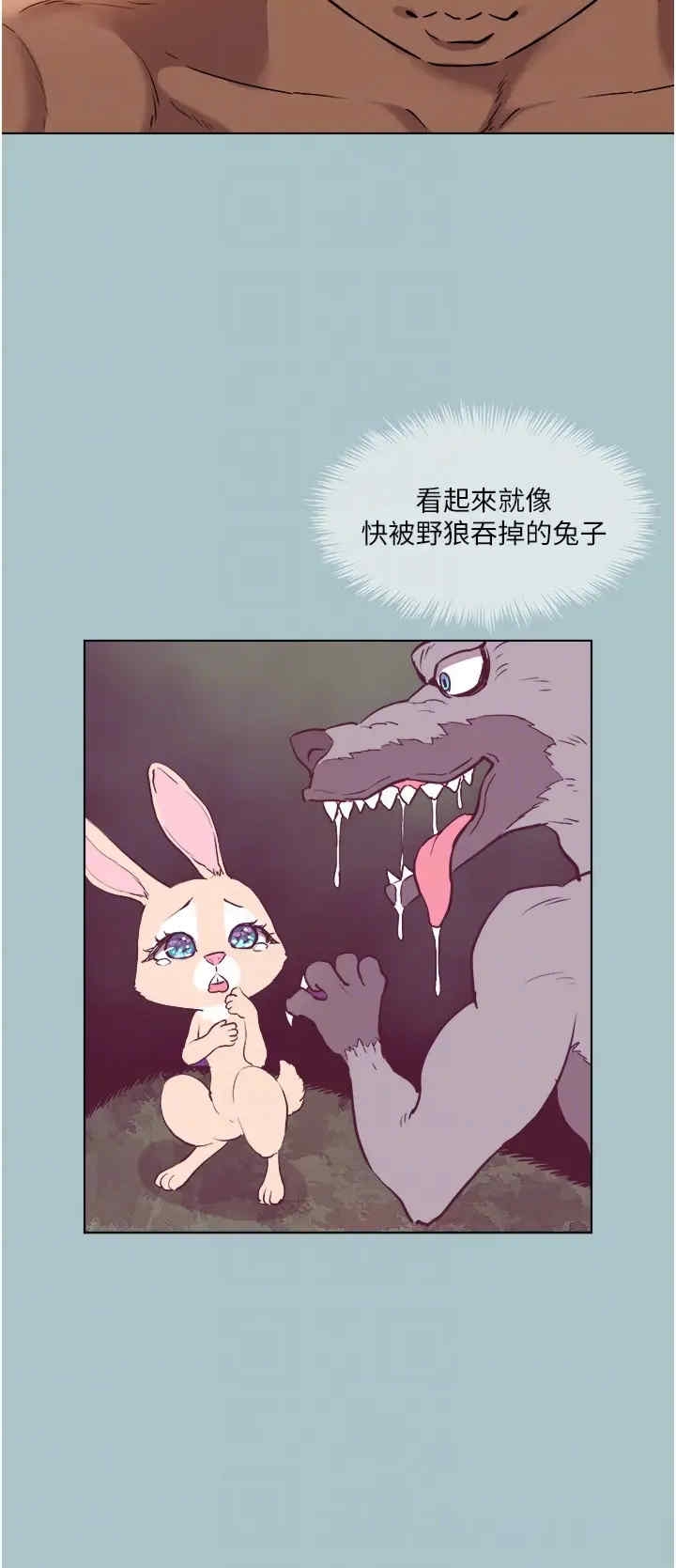 第22张