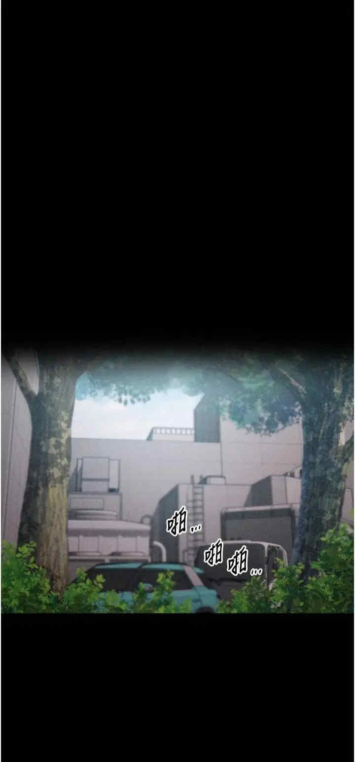 第25张