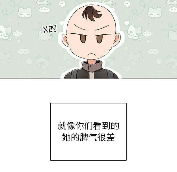 第113张