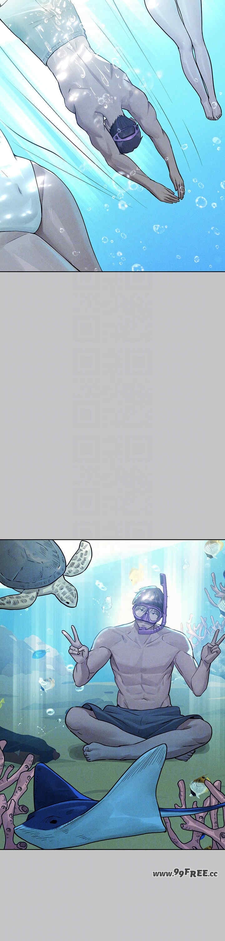 第24张