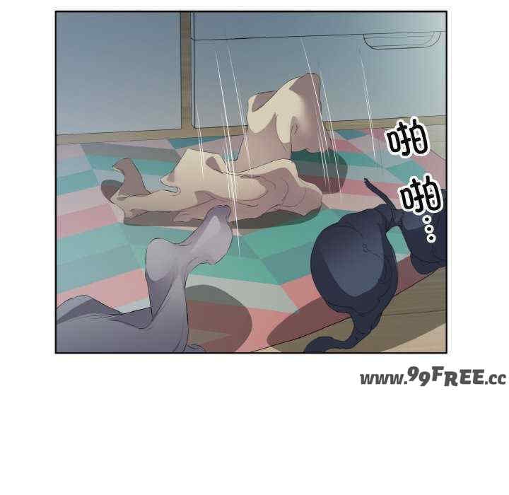 第63张