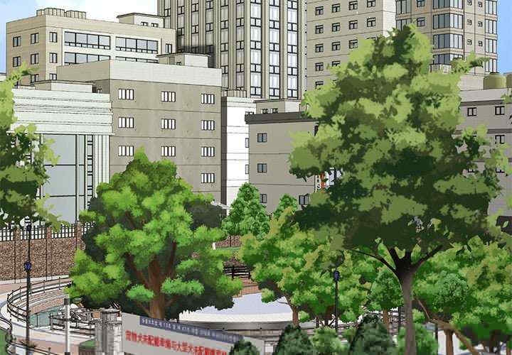 第12张