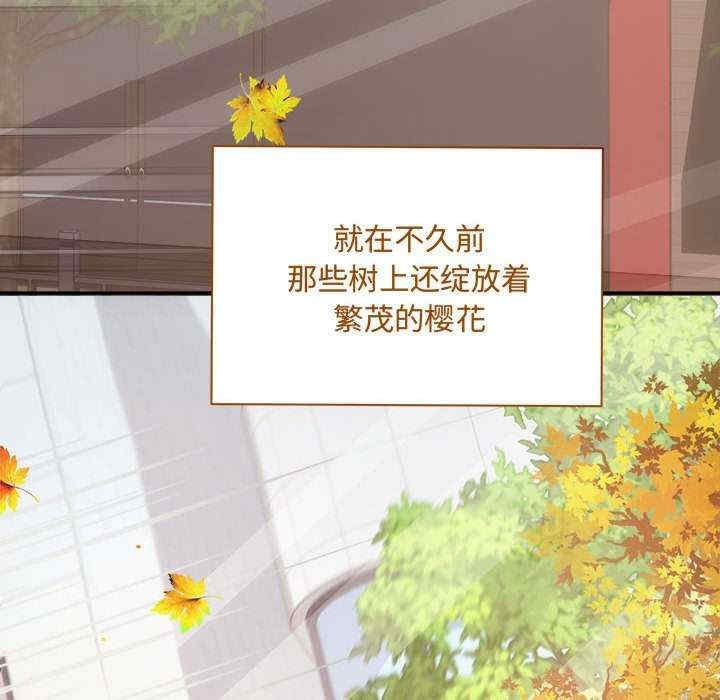 第16张