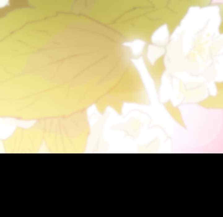第73张