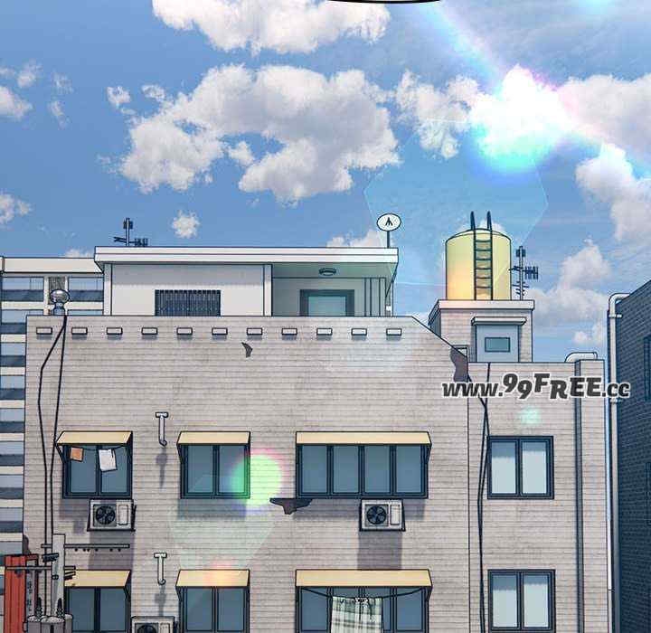 第204张