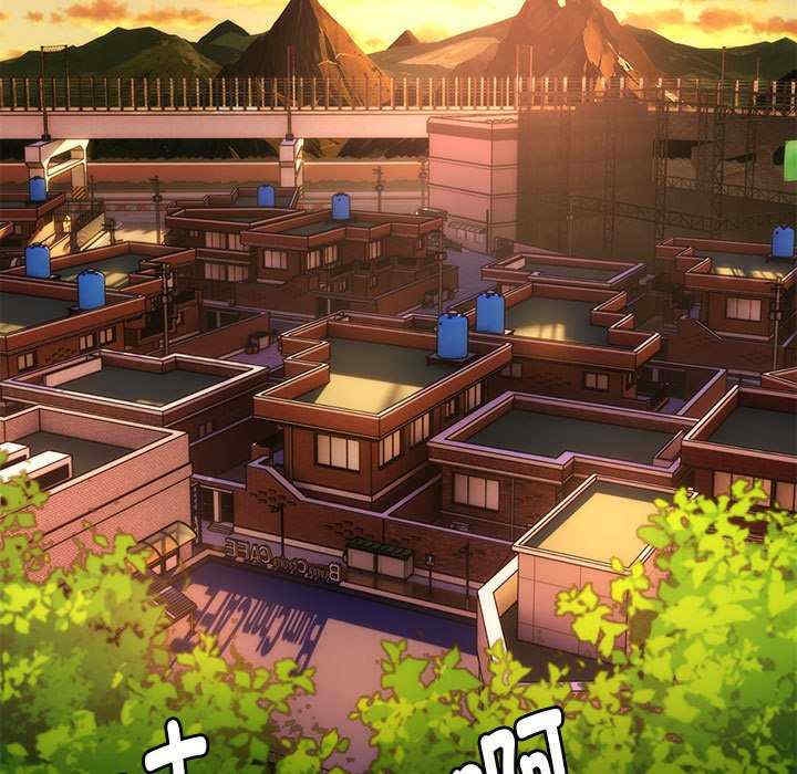 第17张