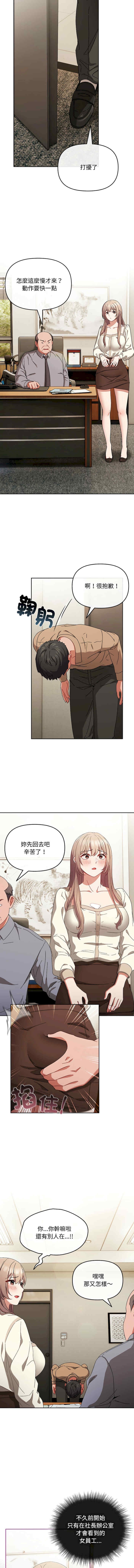 第11张