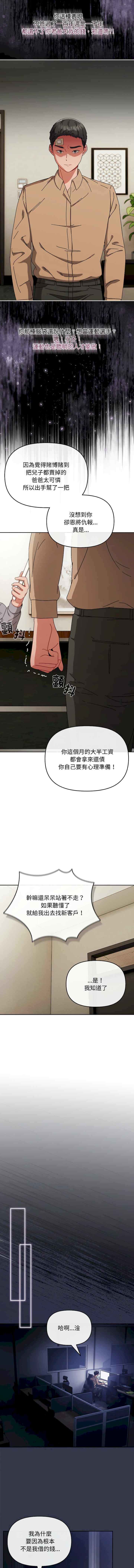 第14张