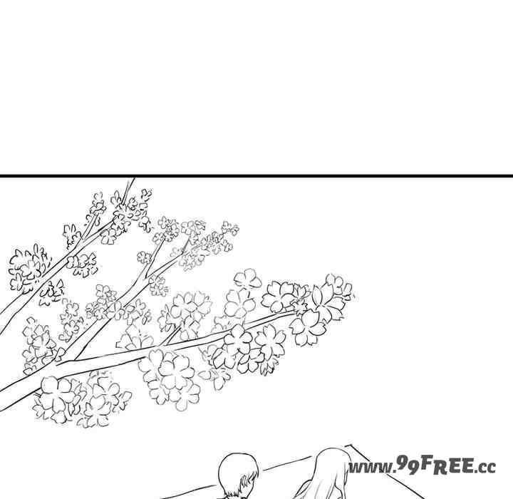 第27张