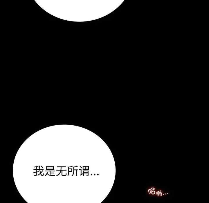 第3张
