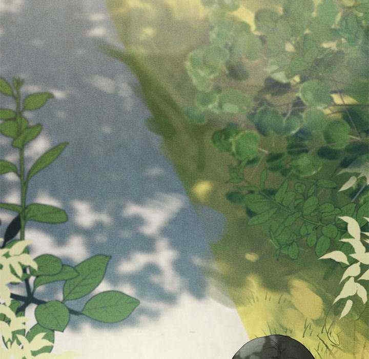 第148张