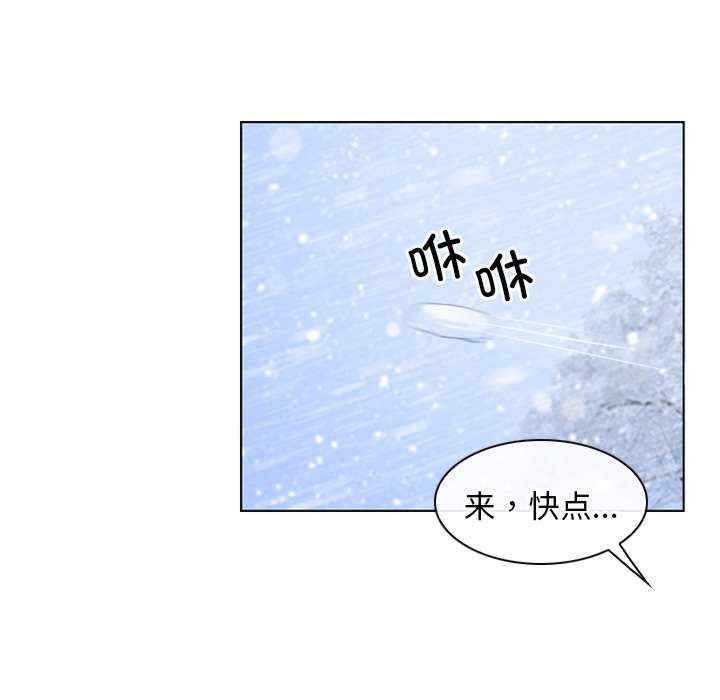 第53张