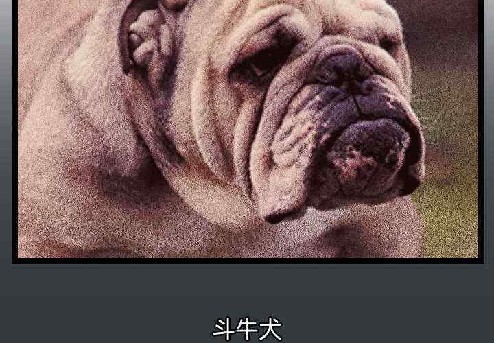 第4张