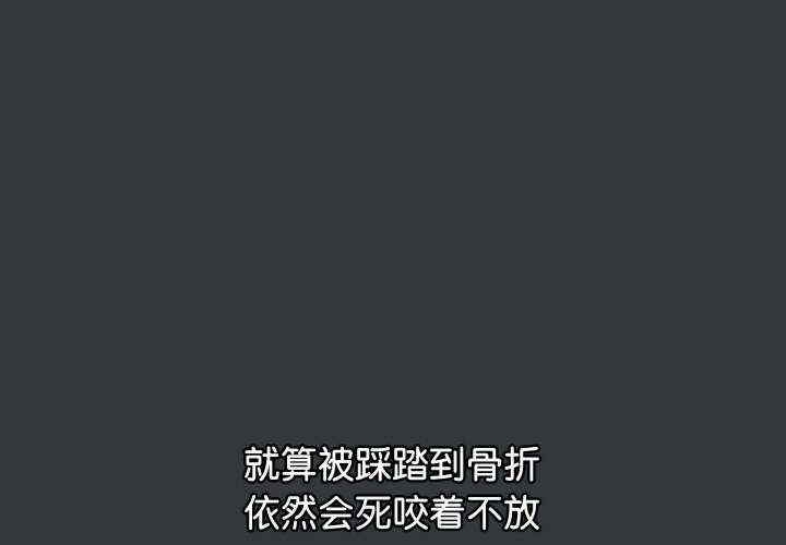 第9张
