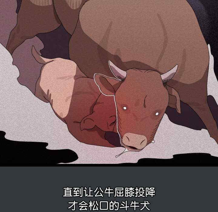第14张