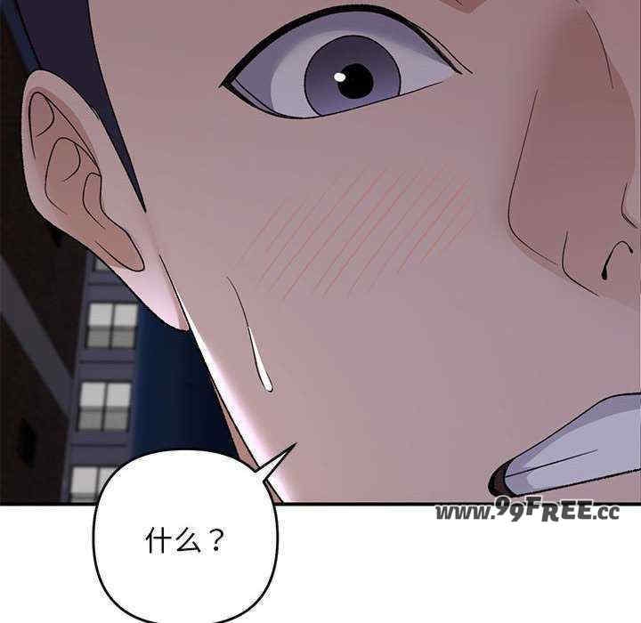 第43张