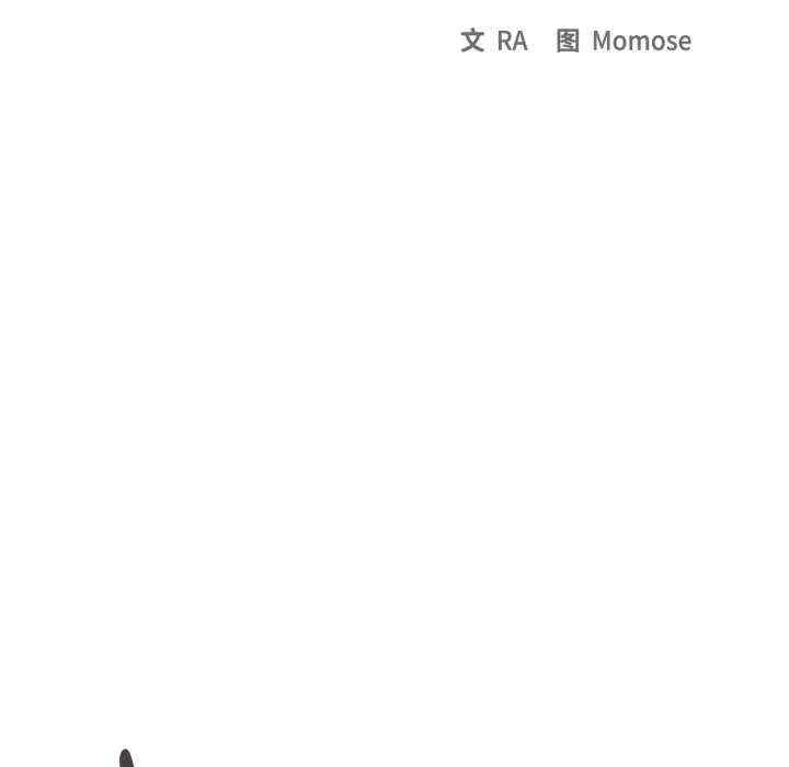 第41张